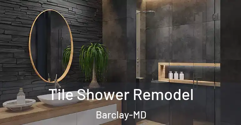 inner Bathroom imggen Tile Shower Remodel Barclay-MD