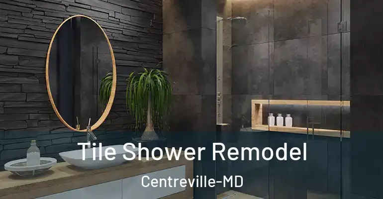 inner Bathroom imggen Tile Shower Remodel Centreville-MD