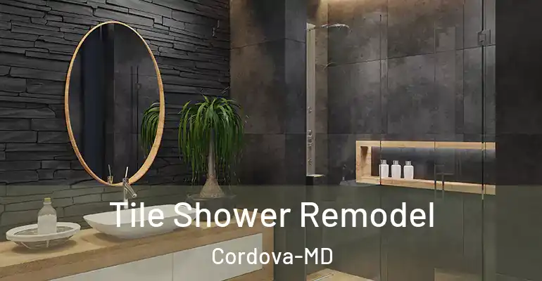inner Bathroom imggen Tile Shower Remodel Cordova-MD