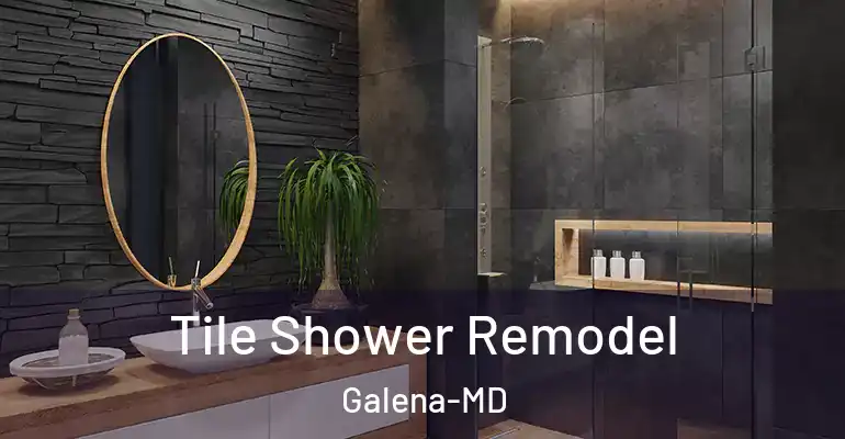 inner Bathroom imggen Tile Shower Remodel Galena-MD