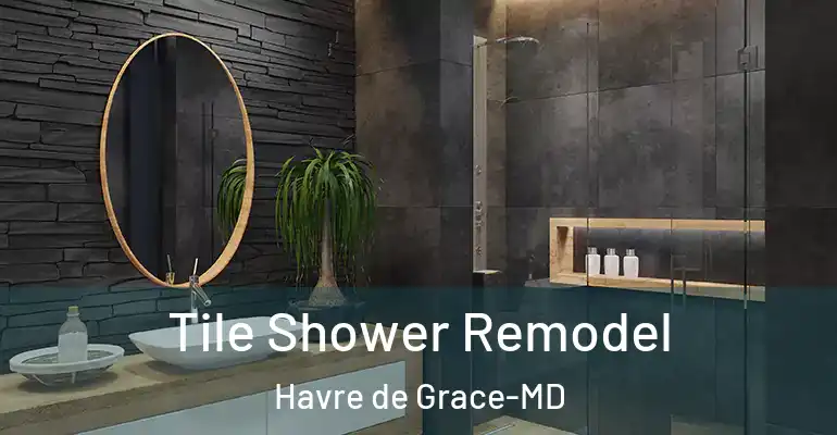 inner Bathroom imggen Tile Shower Remodel Havre de Grace-MD
