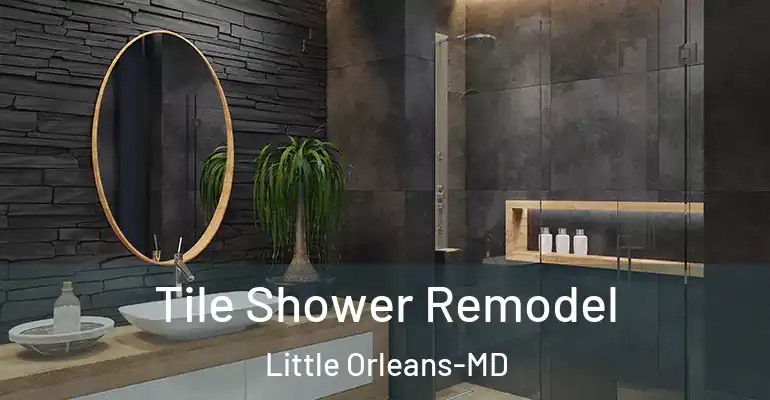 inner Bathroom imggen Tile Shower Remodel Little Orleans-MD