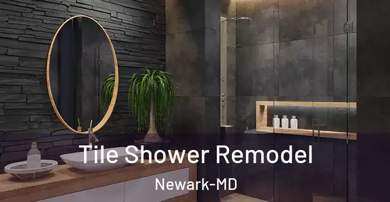 inner Bathroom imggen Tile Shower Remodel Newark-MD