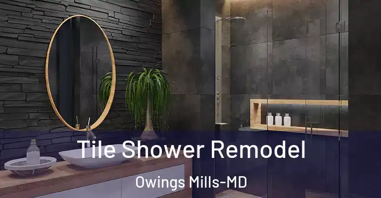 inner Bathroom imggen Tile Shower Remodel Owings Mills-MD