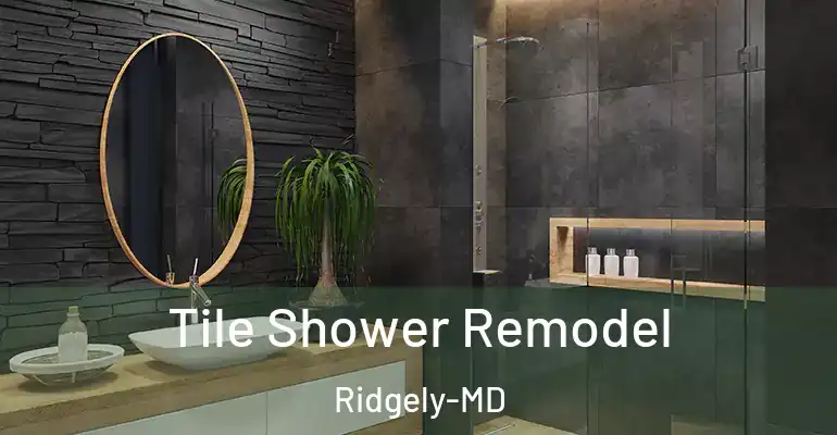 inner Bathroom imggen Tile Shower Remodel Ridgely-MD