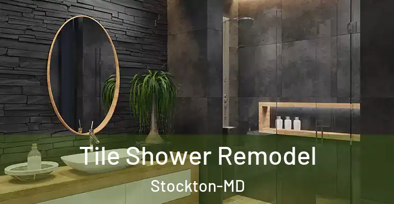 inner Bathroom imggen Tile Shower Remodel Stockton-MD