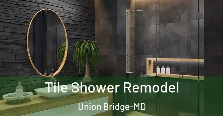 inner Bathroom imggen Tile Shower Remodel Union Bridge-MD