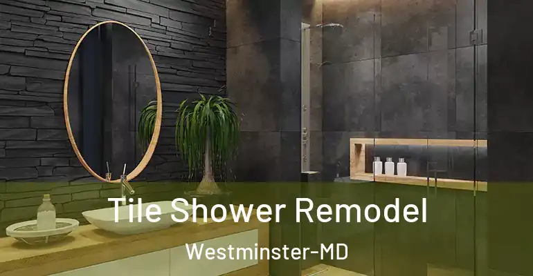 inner Bathroom imggen Tile Shower Remodel Westminster-MD