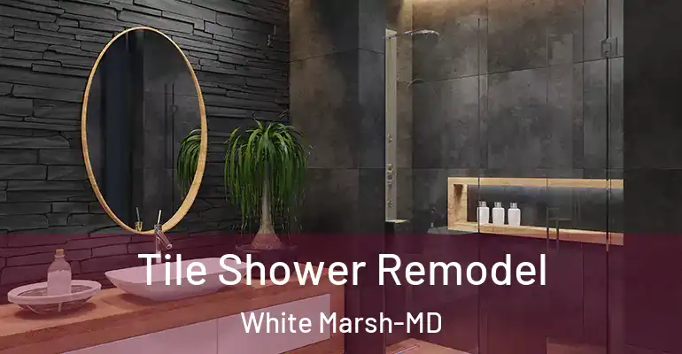 inner Bathroom imggen Tile Shower Remodel White Marsh-MD