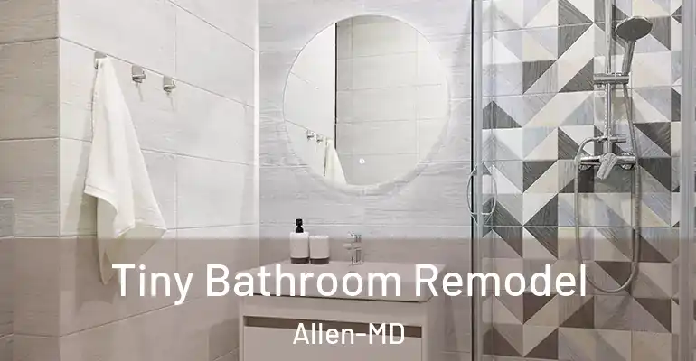 inner Bathroom imggen Tiny Bathroom Remodel Allen-MD