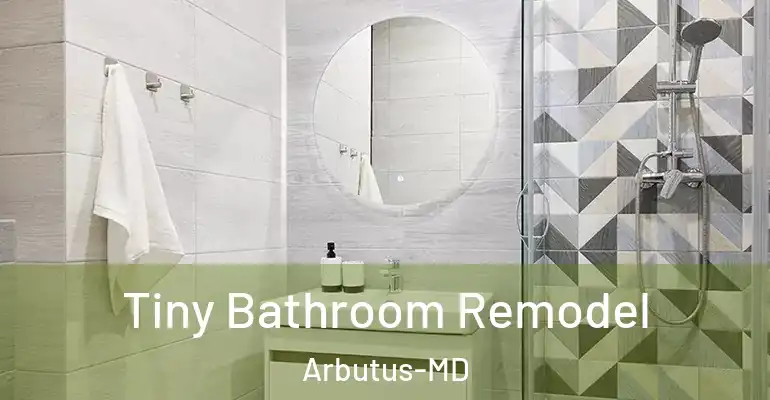 inner Bathroom imggen Tiny Bathroom Remodel Arbutus-MD