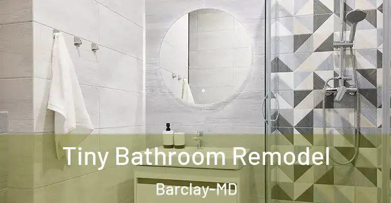 inner Bathroom imggen Tiny Bathroom Remodel Barclay-MD