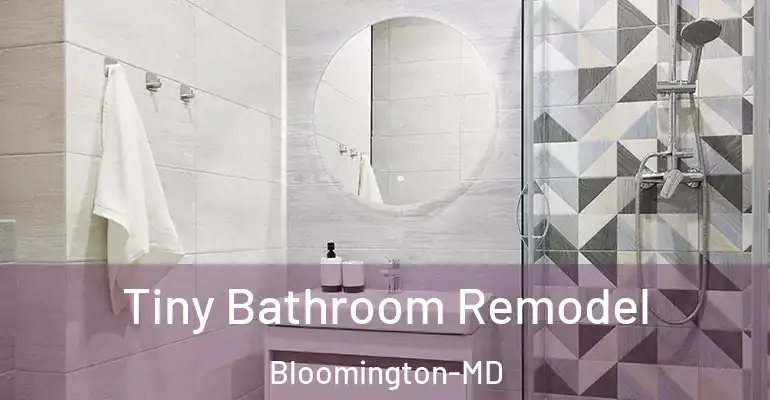 inner Bathroom imggen Tiny Bathroom Remodel Bloomington-MD