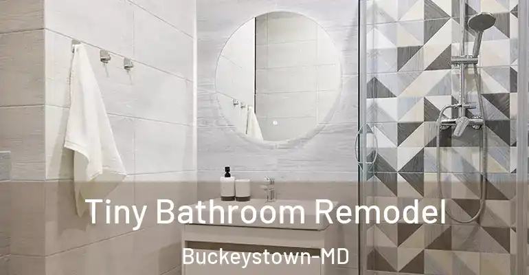 inner Bathroom imggen Tiny Bathroom Remodel Buckeystown-MD
