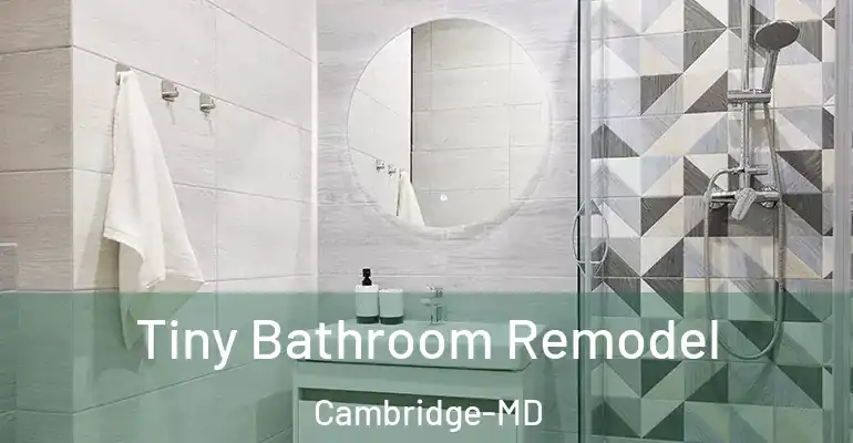 inner Bathroom imggen Tiny Bathroom Remodel Cambridge-MD