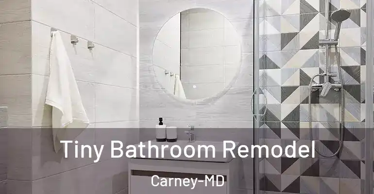 inner Bathroom imggen Tiny Bathroom Remodel Carney-MD