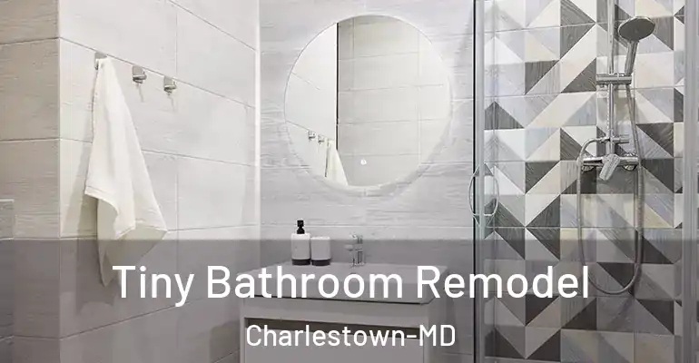 inner Bathroom imggen Tiny Bathroom Remodel Charlestown-MD