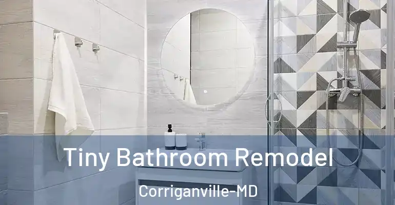 inner Bathroom imggen Tiny Bathroom Remodel Corriganville-MD