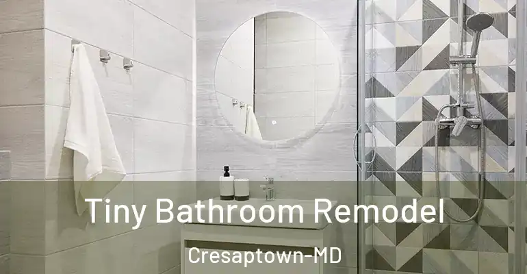inner Bathroom imggen Tiny Bathroom Remodel Cresaptown-MD