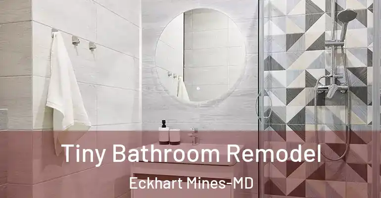 inner Bathroom imggen Tiny Bathroom Remodel Eckhart Mines-MD