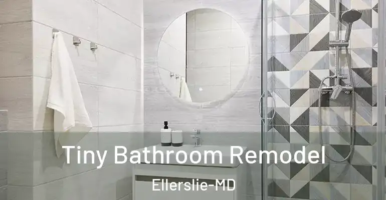 inner Bathroom imggen Tiny Bathroom Remodel Ellerslie-MD