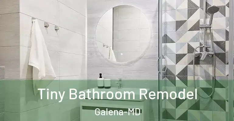 inner Bathroom imggen Tiny Bathroom Remodel Galena-MD