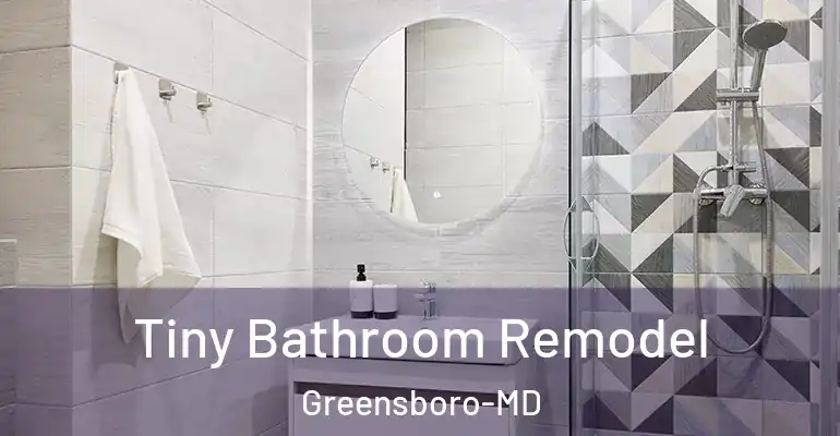 inner Bathroom imggen Tiny Bathroom Remodel Greensboro-MD