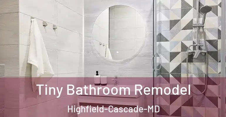 inner Bathroom imggen Tiny Bathroom Remodel Highfield-Cascade-MD