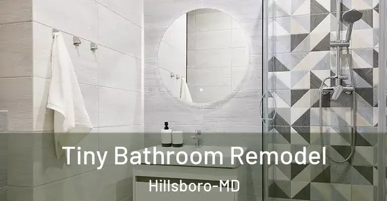 inner Bathroom imggen Tiny Bathroom Remodel Hillsboro-MD