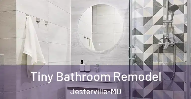 inner Bathroom imggen Tiny Bathroom Remodel Jesterville-MD