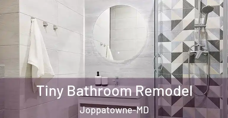 inner Bathroom imggen Tiny Bathroom Remodel Joppatowne-MD