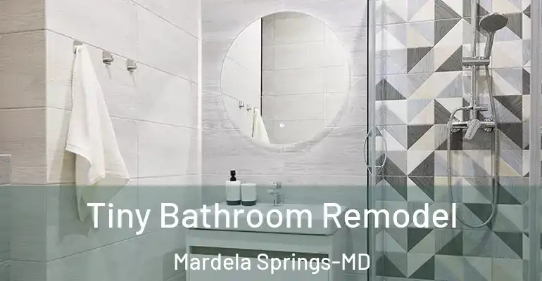 inner Bathroom imggen Tiny Bathroom Remodel Mardela Springs-MD