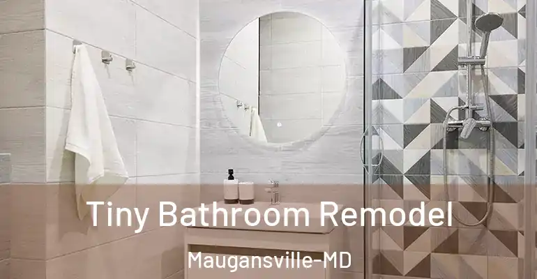 inner Bathroom imggen Tiny Bathroom Remodel Maugansville-MD