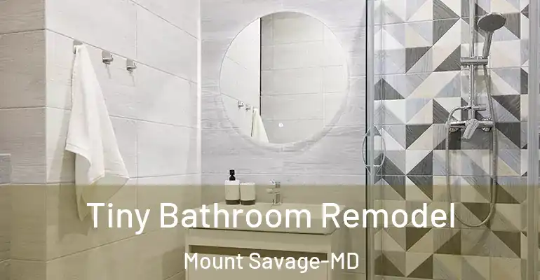 inner Bathroom imggen Tiny Bathroom Remodel Mount Savage-MD