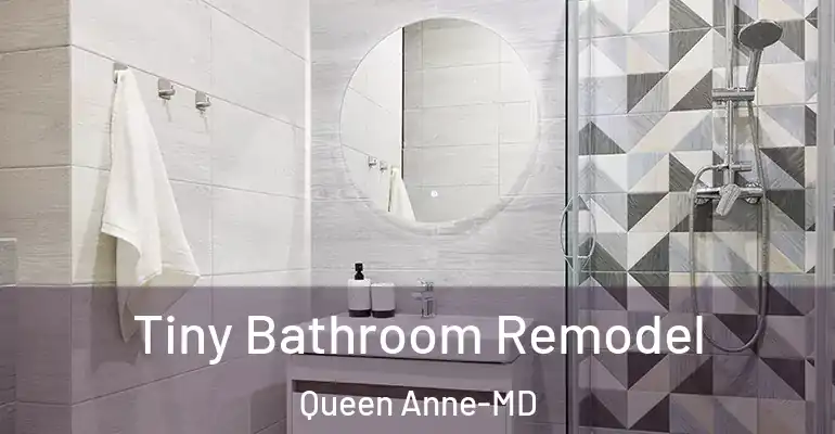 inner Bathroom imggen Tiny Bathroom Remodel Queen Anne-MD
