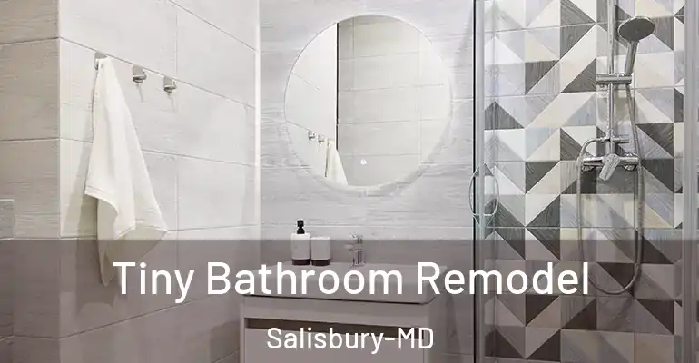 inner Bathroom imggen Tiny Bathroom Remodel Salisbury-MD