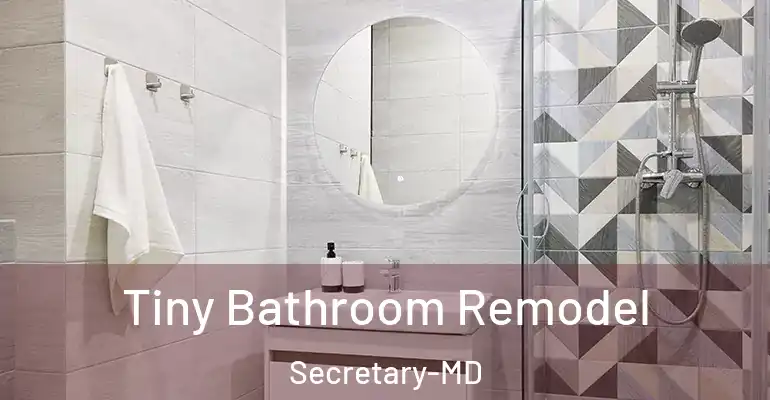 inner Bathroom imggen Tiny Bathroom Remodel Secretary-MD