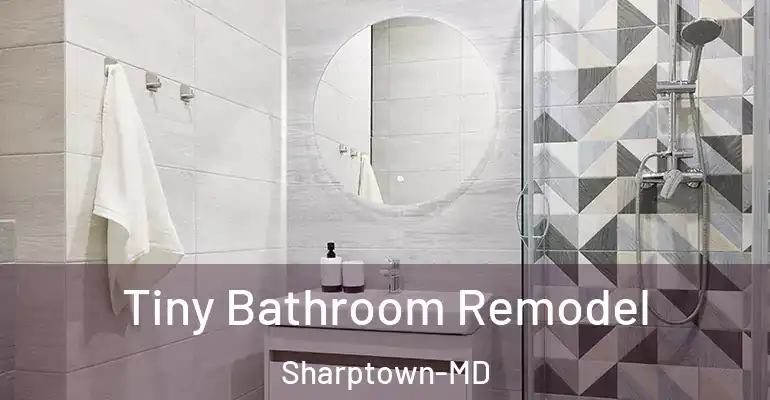 inner Bathroom imggen Tiny Bathroom Remodel Sharptown-MD