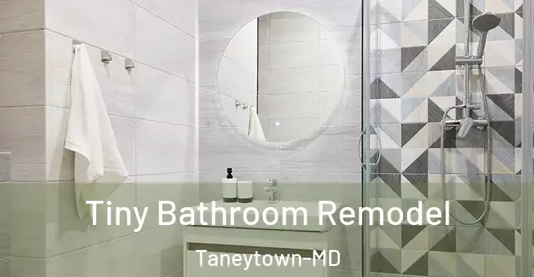 inner Bathroom imggen Tiny Bathroom Remodel Taneytown-MD