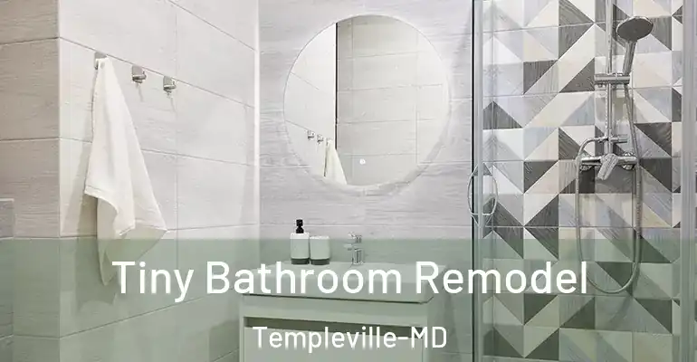 inner Bathroom imggen Tiny Bathroom Remodel Templeville-MD
