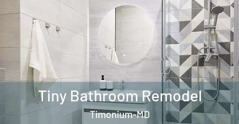 inner Bathroom imggen Tiny Bathroom Remodel Timonium-MD