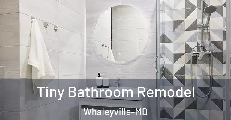 inner Bathroom imggen Tiny Bathroom Remodel Whaleyville-MD