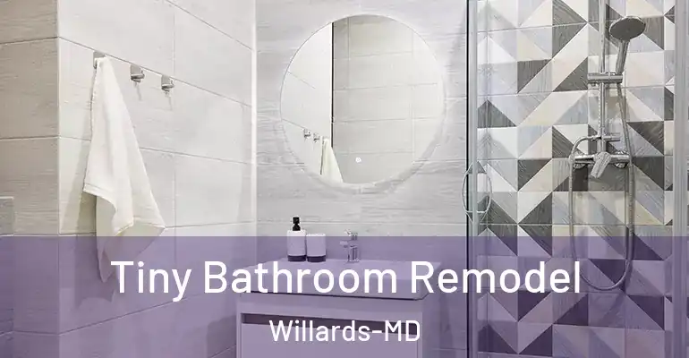 inner Bathroom imggen Tiny Bathroom Remodel Willards-MD