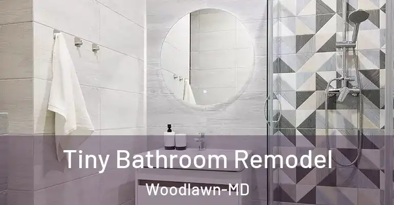 inner Bathroom imggen Tiny Bathroom Remodel Woodlawn-MD