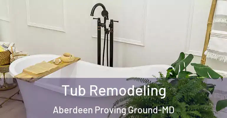inner Bathroom imggen Tub Remodeling Aberdeen Proving Ground-MD