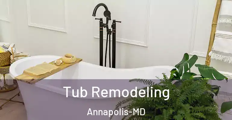 inner Bathroom imggen Tub Remodeling Annapolis-MD