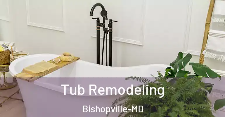 inner Bathroom imggen Tub Remodeling Bishopville-MD