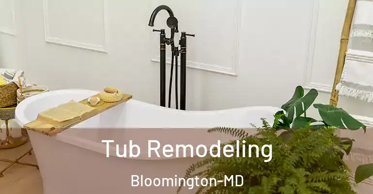 inner Bathroom imggen Tub Remodeling Bloomington-MD