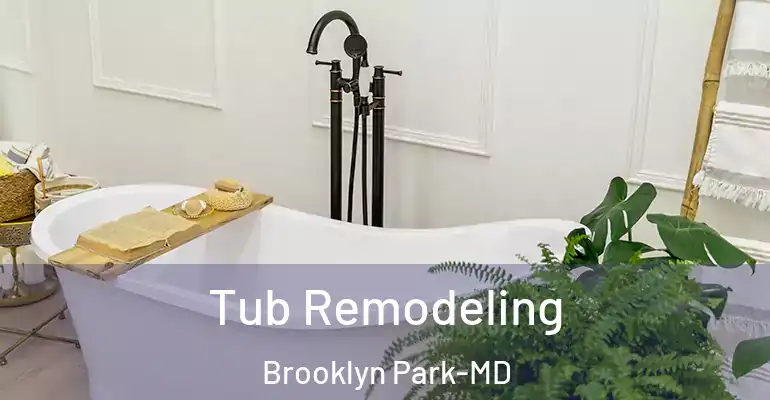 inner Bathroom imggen Tub Remodeling Brooklyn Park-MD