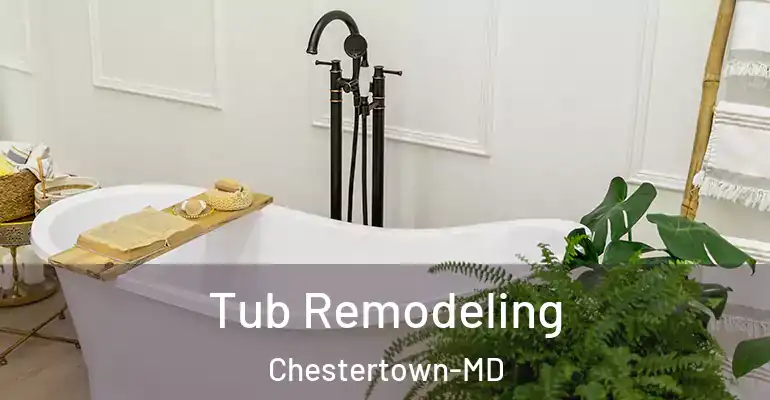 inner Bathroom imggen Tub Remodeling Chestertown-MD
